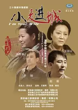 电视剧《小麦进城》剧情介绍