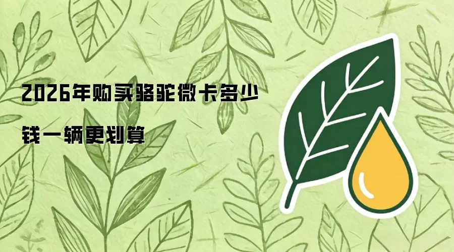 2026年购买骆驼微卡多少钱一辆更划算
