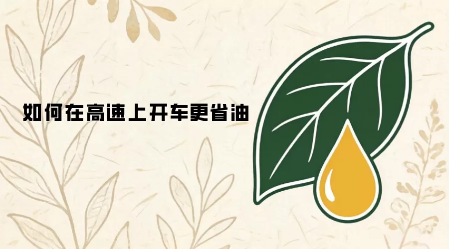 如何在高速上开车更省油
