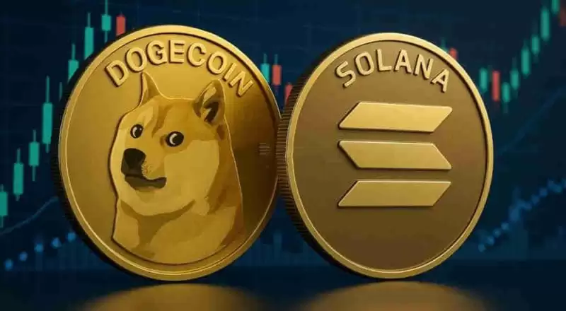 五年后狗狗币能涨到2美金吗？