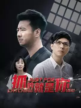 电视剧《抓的就是你》剧情介绍