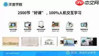如何快速提升洋葱学院等级