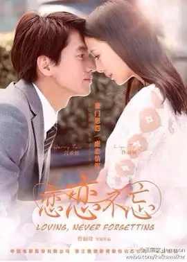 电视剧《恋恋不忘》剧情介绍