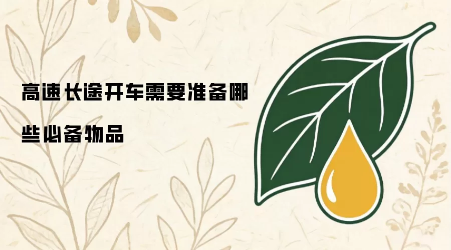 高速长途开车需要准备哪些必备物品