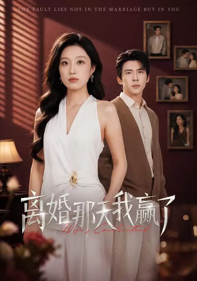 短剧《离婚那天我赢了》剧情介绍