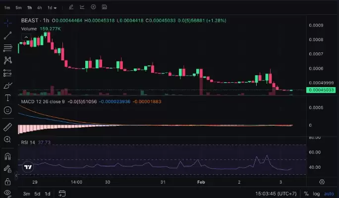 2026年MrBeast ($BEAST) 价格预测,什么推动了$BEAST？