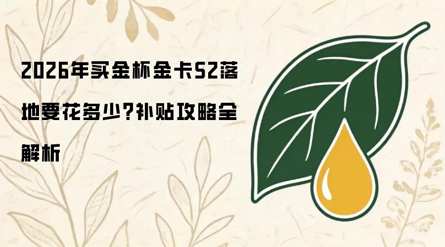 2026年买金杯金卡S2落地要花多少？补贴攻略全解析
