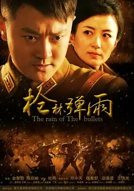 电视剧《枪林弹雨》剧情介绍