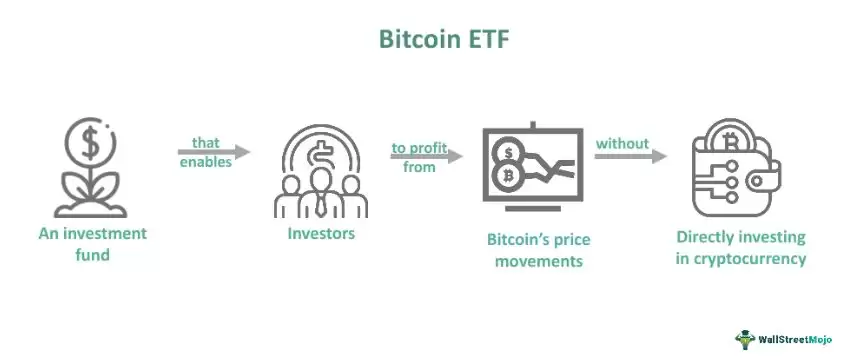 2026年最值得关注的顶级现货比特币ETF有哪些？一文详解