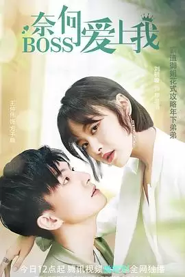 电视剧《奈何BOSS爱上我》剧情介绍