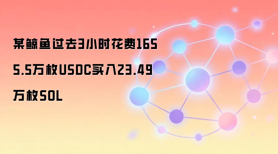某鲸鱼过去3小时花费1655.5万枚USDC买入23.49万枚SOL