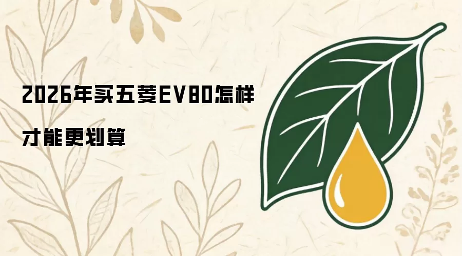 2026年买五菱EV80怎样才能更划算