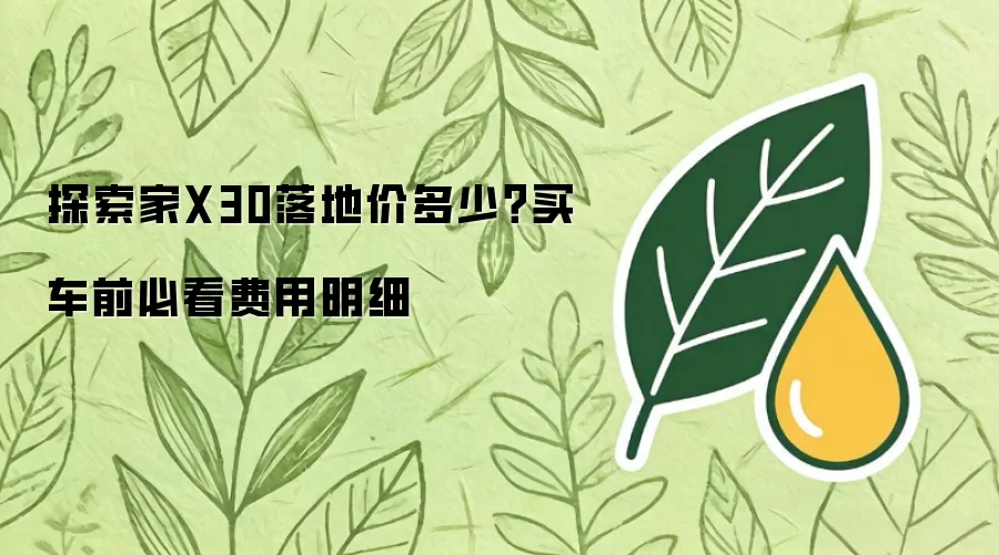 探索家X30落地价多少？买车前必看费用明细