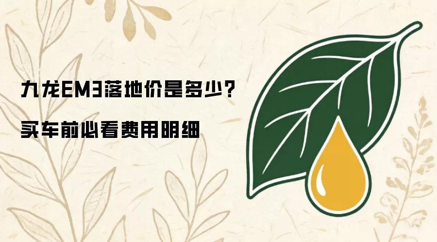 九龙EM3落地价是多少?买车前必看费用明细