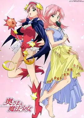 动漫《太太是魔法少女》剧情介绍