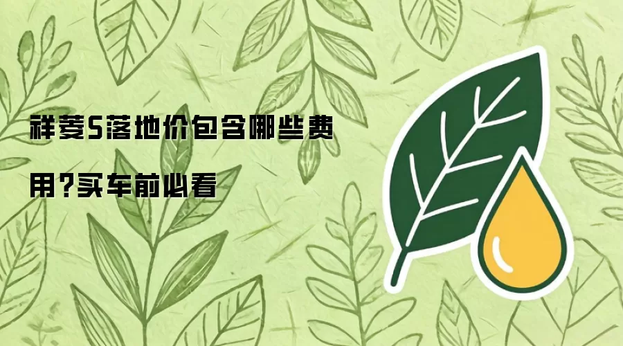 祥菱S落地价包含哪些费用？买车前必看