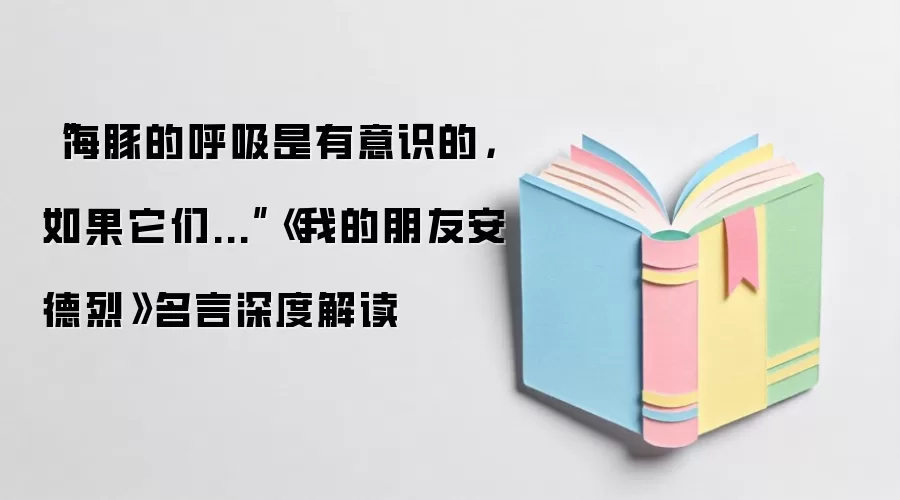 “海豚的呼吸是有意识的，如果它们...”《我的朋友安德烈》名言深度解读
