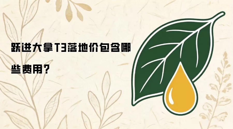 跃进大拿T3落地价包含哪些费用？