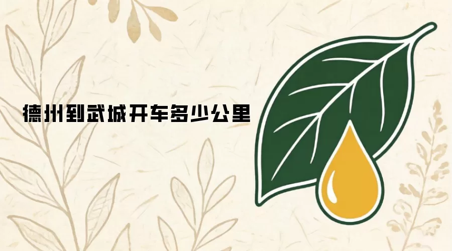 德州到武城开车多少公里