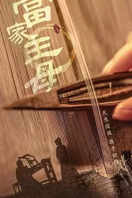 电视剧《当家主母》剧情介绍