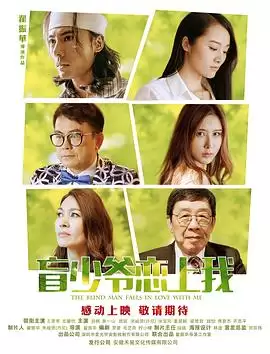 电影《盲少爷恋上我》剧情介绍