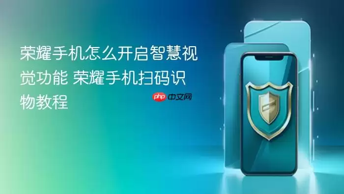 荣耀手机怎么开启智慧视觉功能 荣耀手机扫码识物教程
