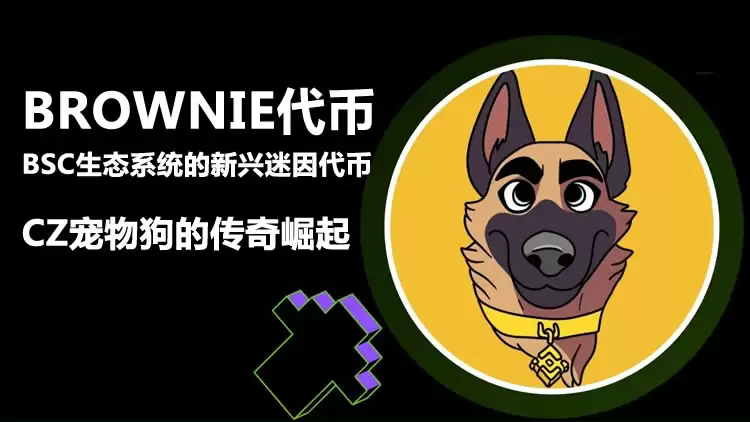 BROWNIE代币:BSC生态系统的新兴迷因代币