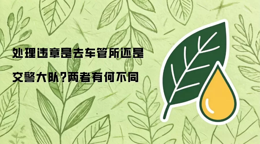 处理违章是去车管所还是交警大队？两者有何不同