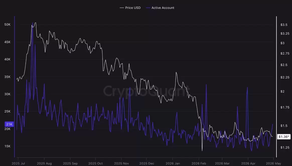XRP：现在买，或等破1美元？