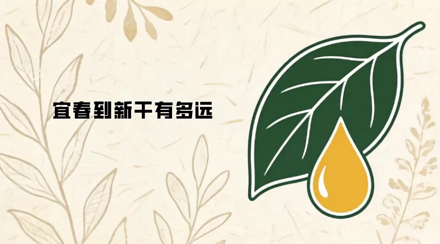 宜春到新干有多远