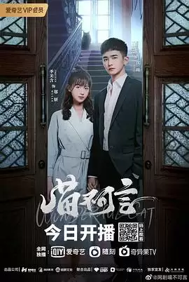 电视剧《喵不可言》剧情介绍