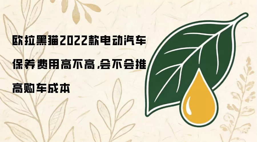 欧拉黑猫2022款电动汽车保养费用高不高，会不会推高购车成本
