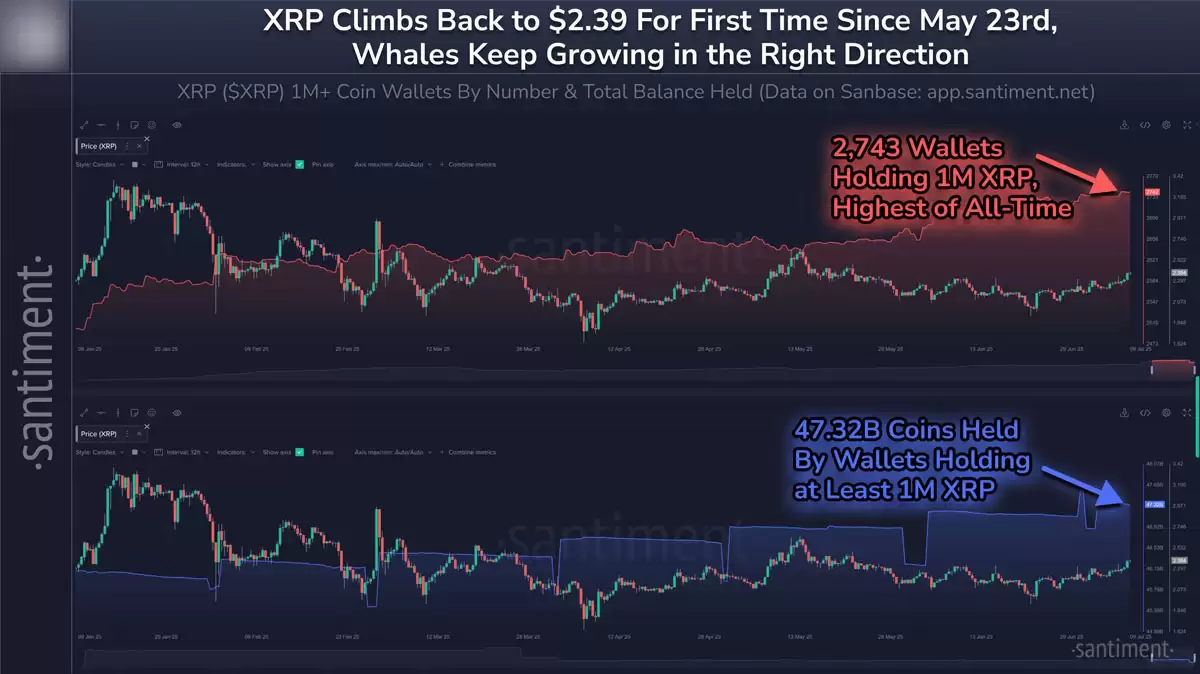 XRP vs ETH:哪种代币在巨鲸推动的行情中表现更佳?