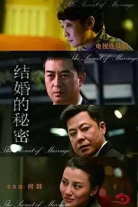 电视剧《结婚的秘密》剧情介绍