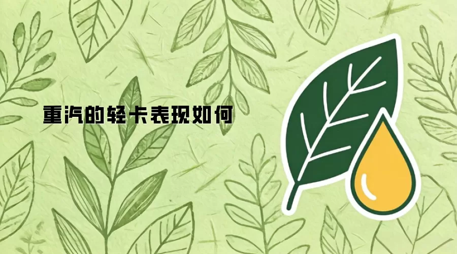 重汽的轻卡表现如何
