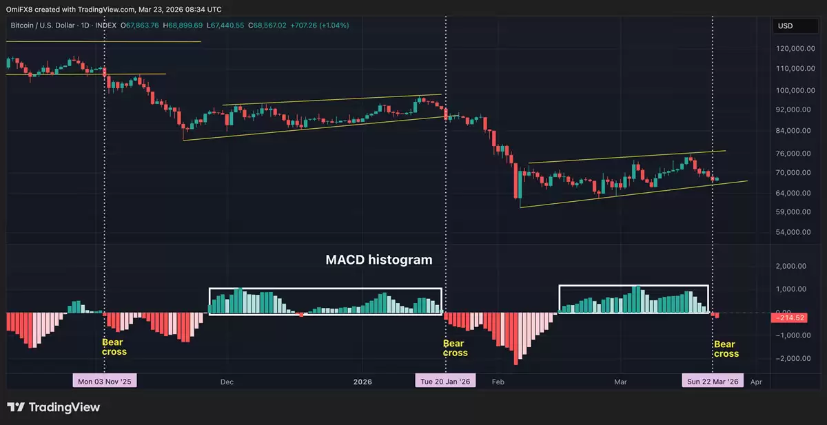 十大技术指标解读比特币：MACD、RSI、布林带、斐波那契