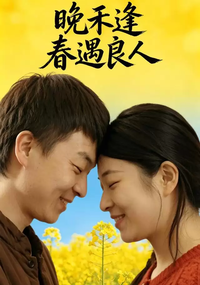 短剧《晚禾逢春遇良人》剧情介绍