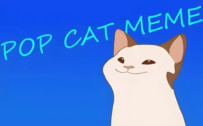 Popcat Meme是什么?全面了解 Solana Meme Coin 的起源、机制与社区生态