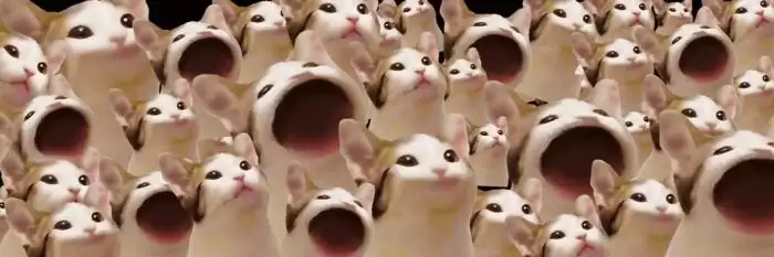 Popcat Meme是什么?全面了解 Solana Meme Coin 的起源、机制与社区生态