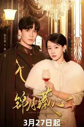 电视剧《锦月藏心》剧情介绍