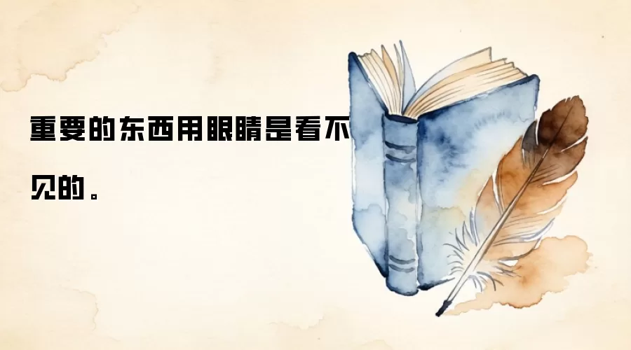 重要的东西用眼睛是看不见的。