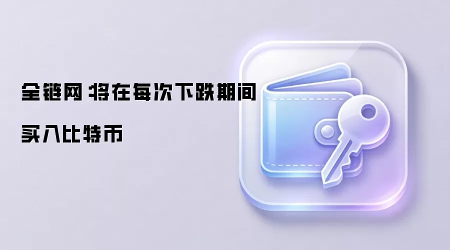 将在每次下跌期间买入比特币