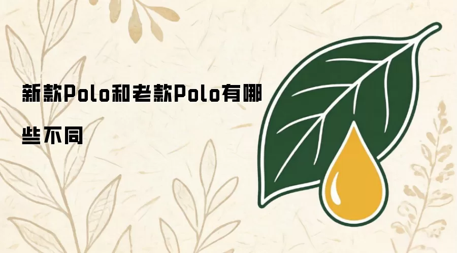 新款Polo和老款Polo有哪些不同