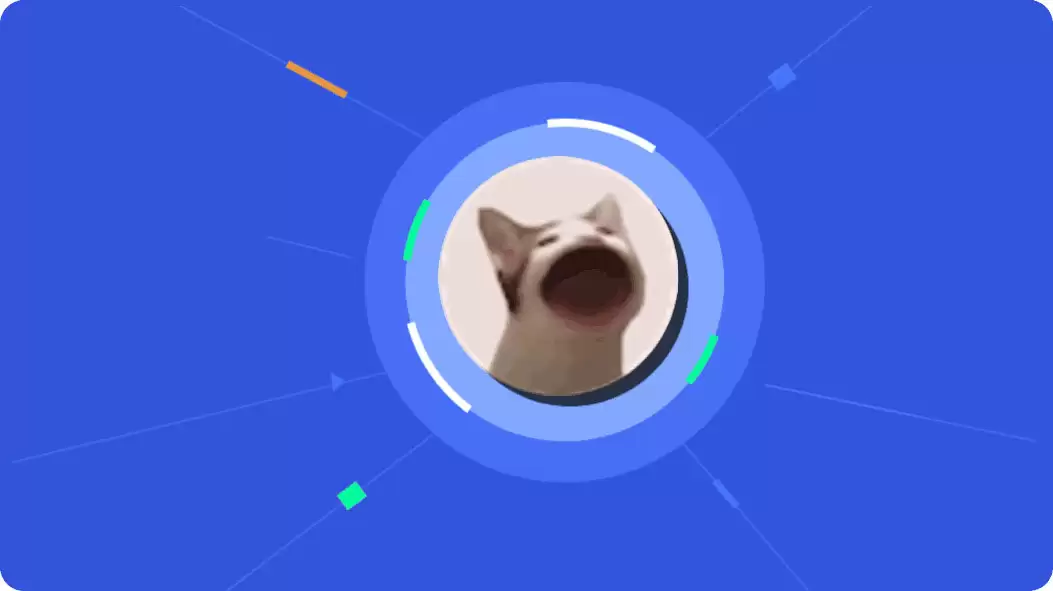 Popcat Meme是什么?全面了解 Solana Meme Coin 的起源、机制与社区生态