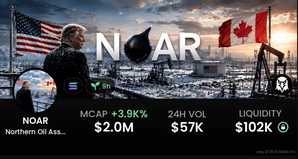 什么是北方石油资产储备（NOAR）币？它是靠谱的投资还是套路满满的骗局