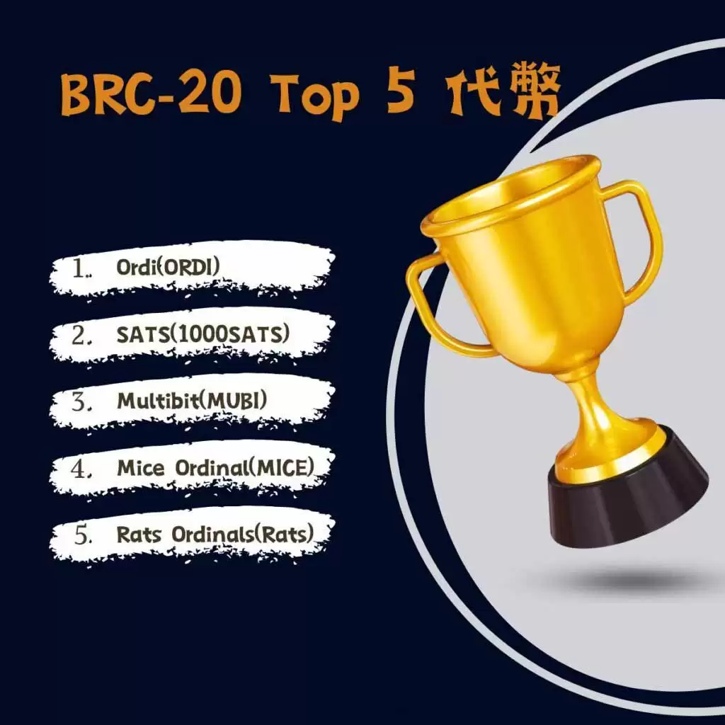 什么是BRC-20？一文看懂它的运作原理、应用场景与投资前景