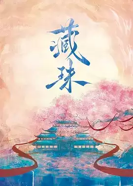 电视剧《藏珠》剧情介绍