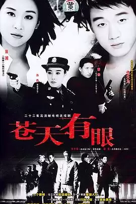 电视剧《苍天有眼》剧情介绍