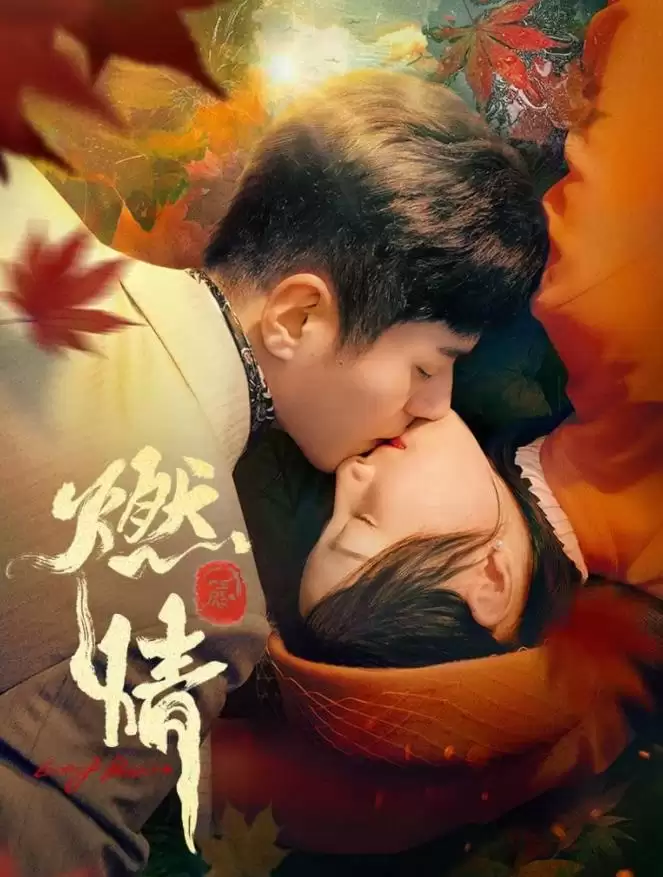 电视剧《燃情》