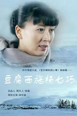 电视剧《豆腐西施杨七巧》剧情介绍